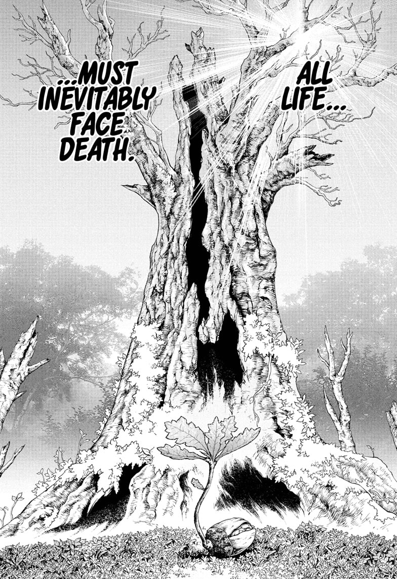 Read dr stone