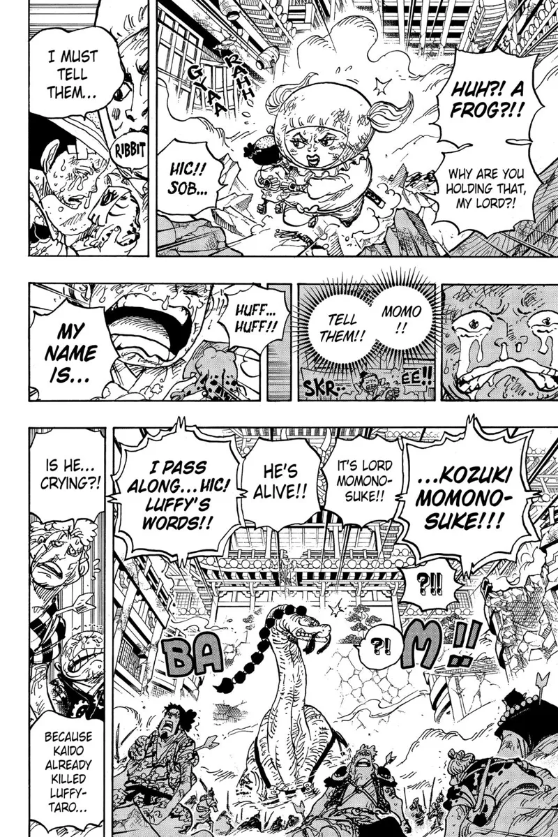 One Piece chapter 1015