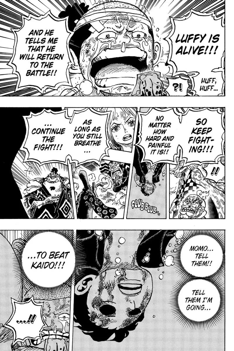 One Piece chapter 1015