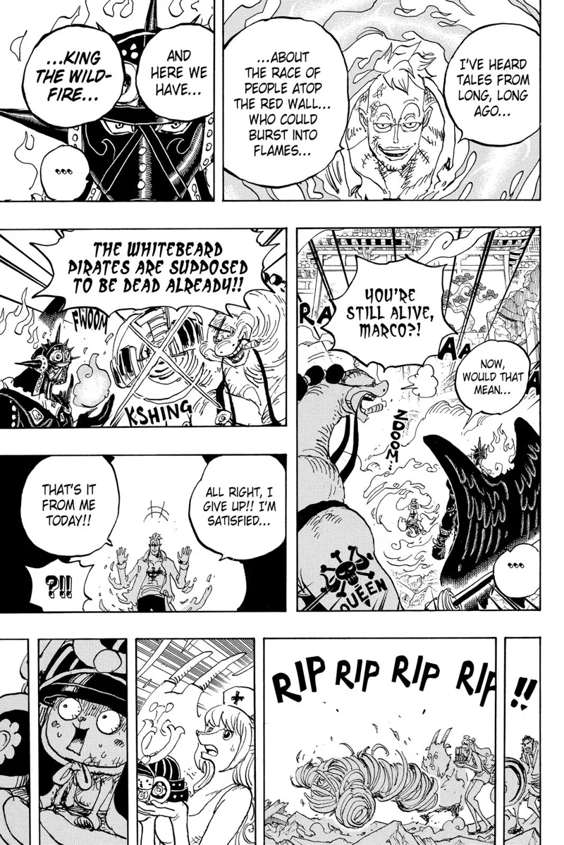 One Piece chapter 1022