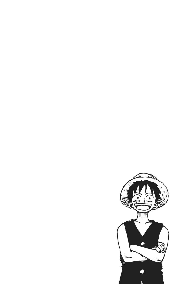 One Piece chapter 17