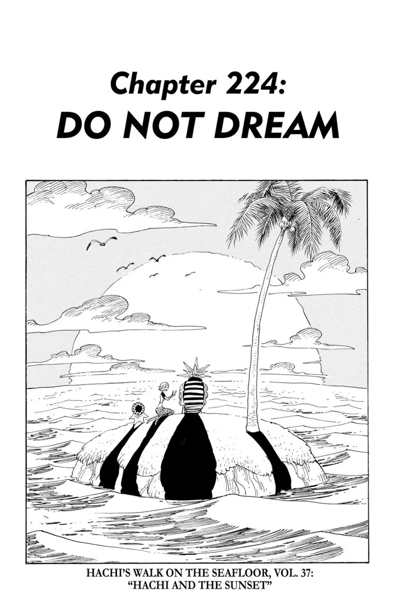 One Piece chapter 224
