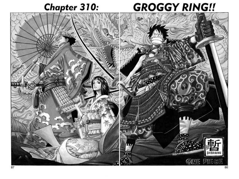 One Piece chapter 310