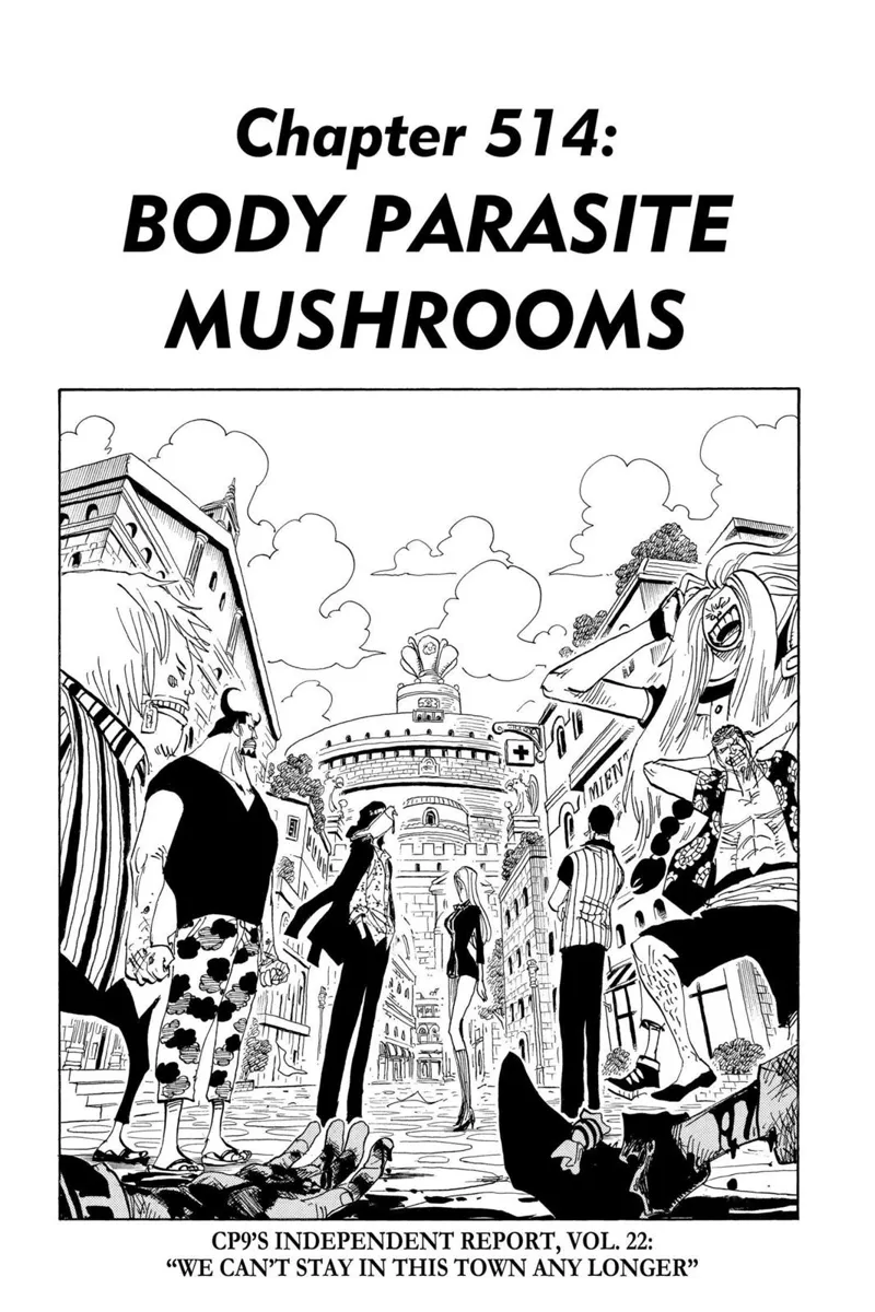 One Piece chapter 514