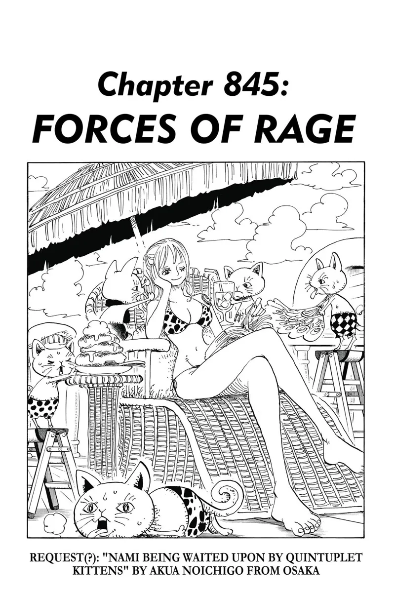 One Piece chapter 845