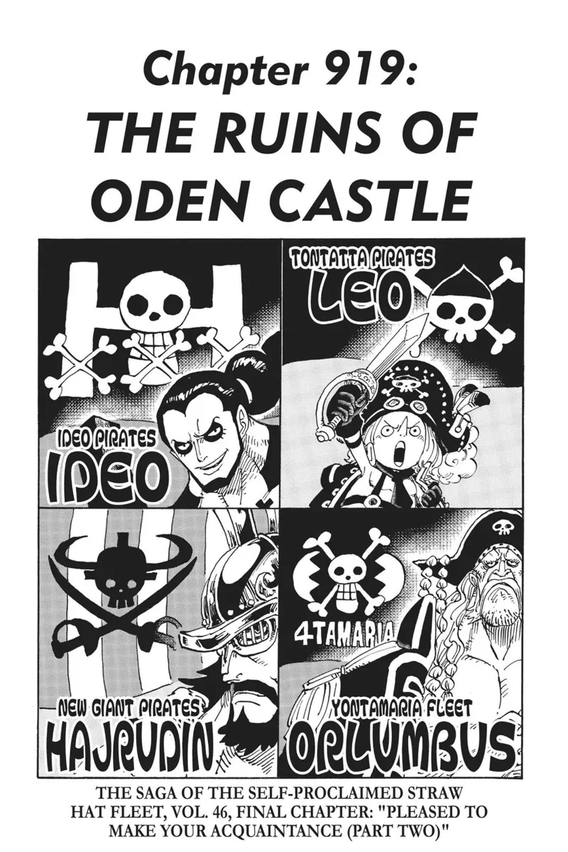 One Piece chapter 919