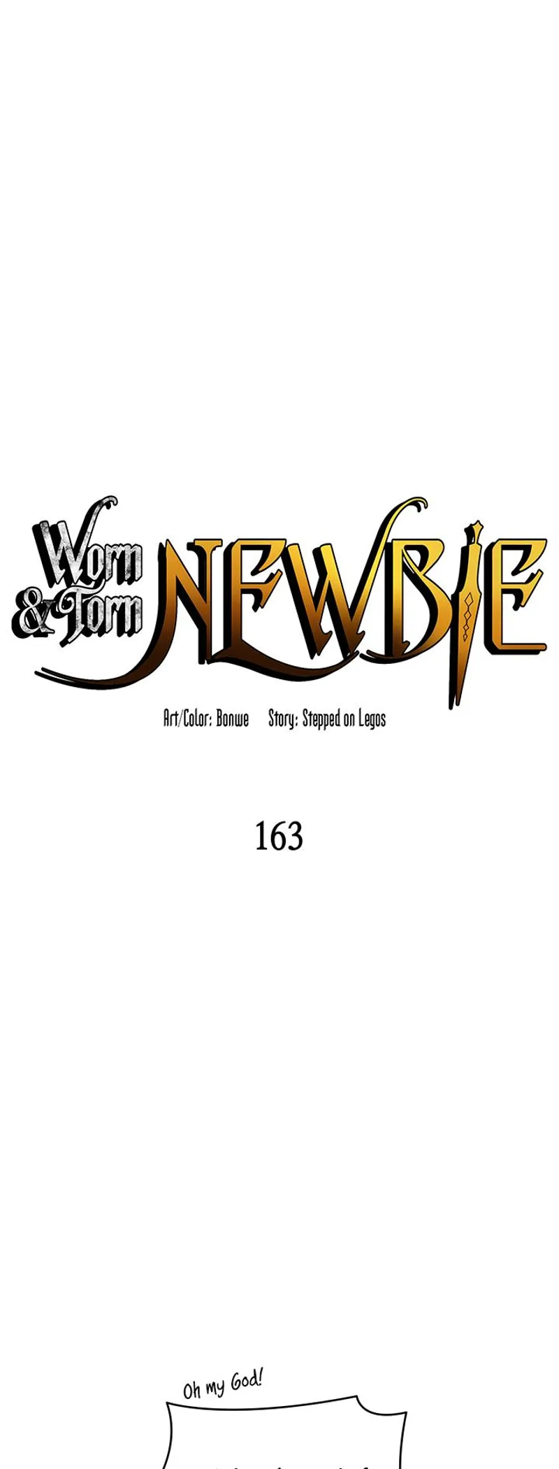 The Worn and Torn Newbie chapter 163